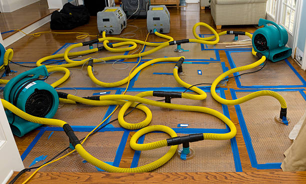 Professional Water Damage Restoration technician working in Bondurant, IA